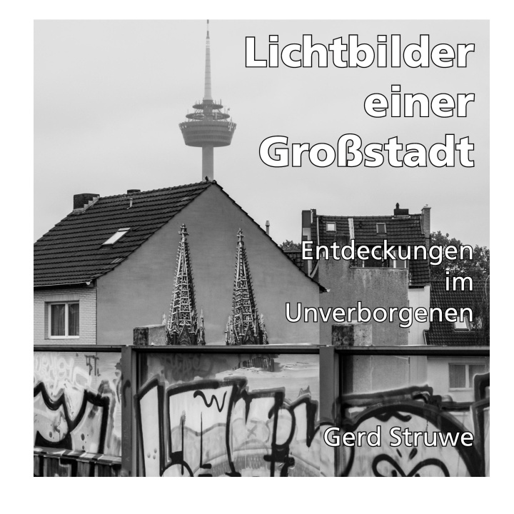 Libro Lichtbilder einer Großstadt 