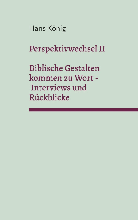 Kniha Perspektivwechsel II 