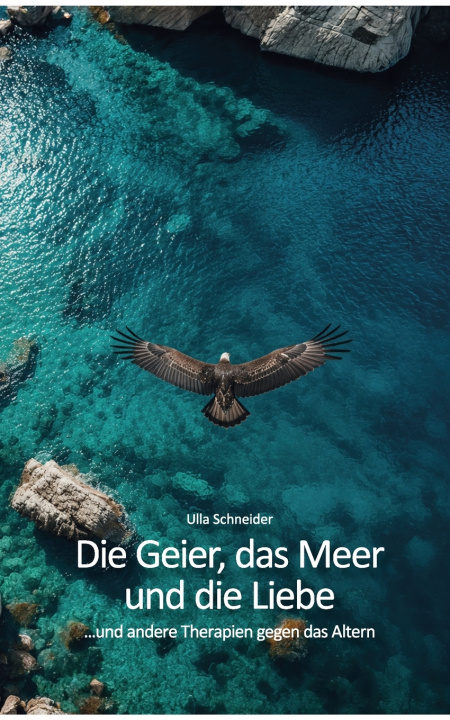 Książka Die Geier, das Meer und die Liebe... Ulla Schneider