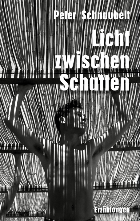 Buch Licht zwischen Schatten 