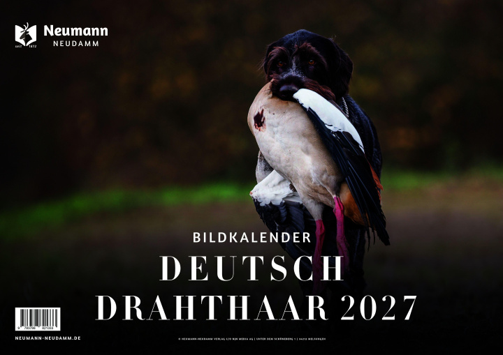 Kalender/agenda Deutsch Drahthaar 2027 - Themenkalender 