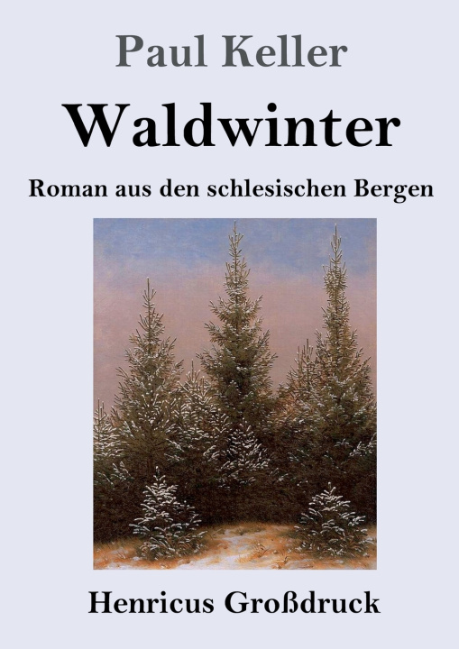 Kniha Waldwinter (Großdruck) 