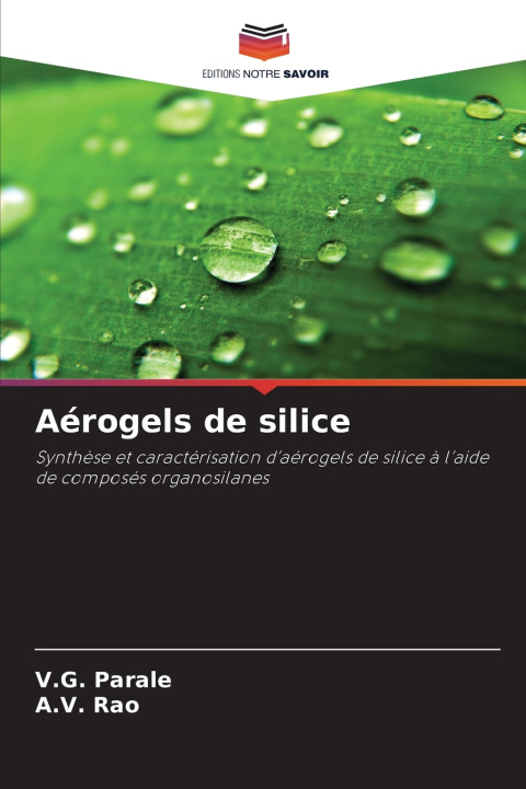 Książka Aérogels de silice A. V. Rao