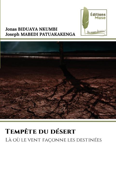 Kniha Tempête du désert Joseph Mabedi Patuakakenga