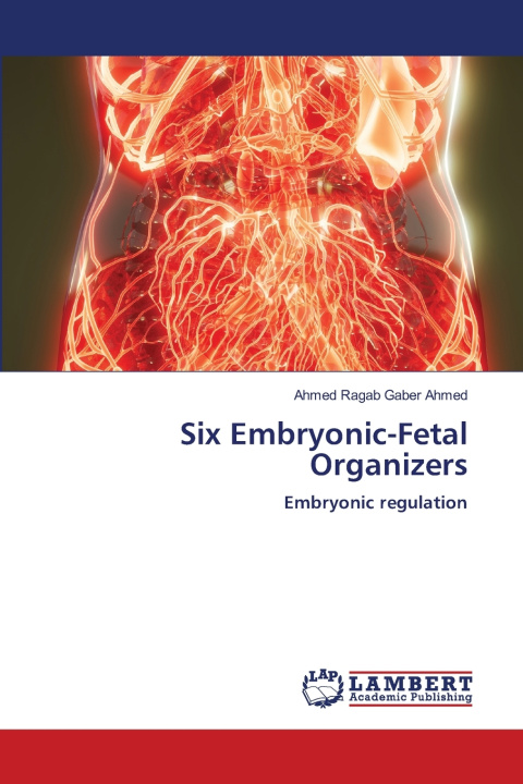Könyv Six Embryonic-Fetal Organizers Ahmed Ragab Gaber Ahmed