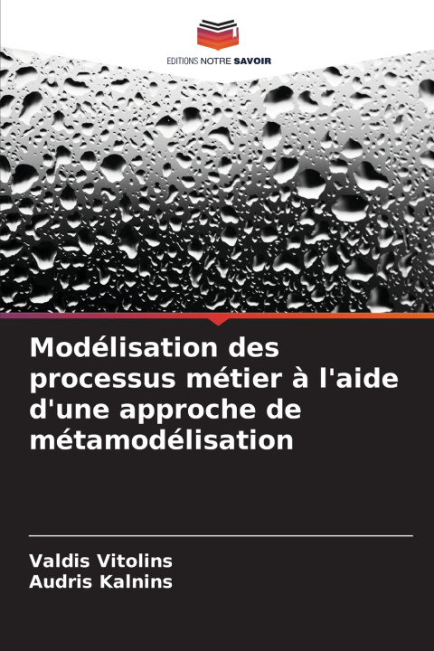 Libro Modélisation des processus métier à l'aide d'une approche de métamodélisation Audris Kalnins
