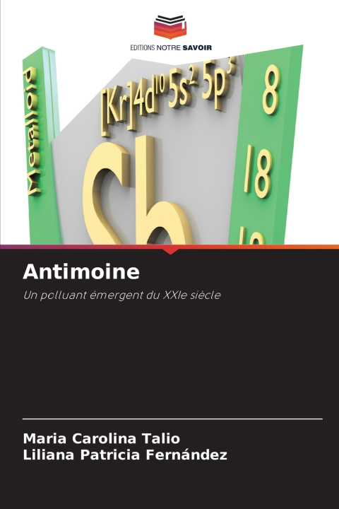 Boek Antimoine Liliana Patricia Fernández