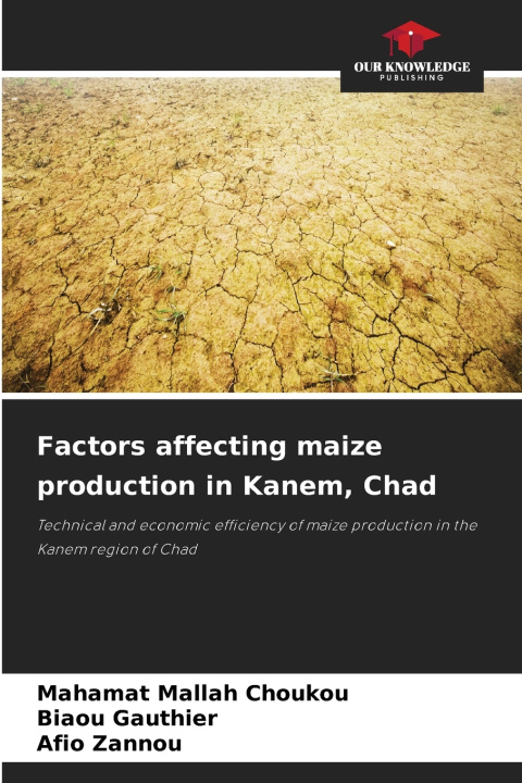 Könyv Factors affecting maize production in Kanem, Chad Biaou Gauthier