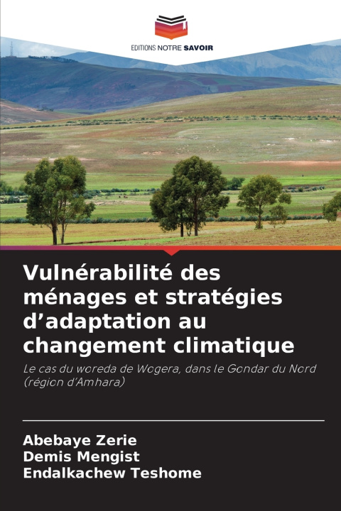 Kniha Vulnérabilité des ménages et stratégies d'adaptation au changement climatique Demis Mengist