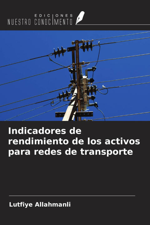 Könyv Indicadores de rendimiento de los activos para redes de transporte 