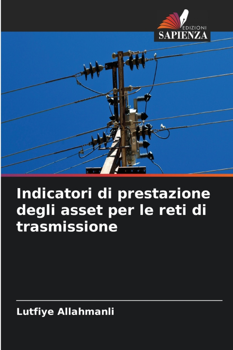 Libro Indicatori di prestazione degli asset per le reti di trasmissione Lutfiye Allahmanli