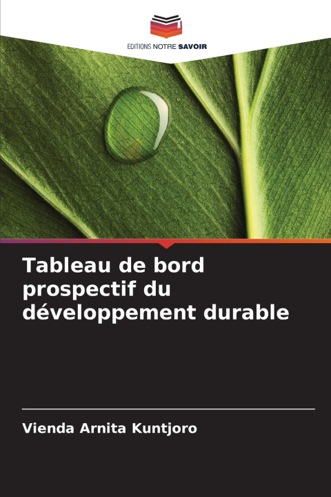 Libro Tableau de bord prospectif du développement durable Vienda Arnita Kuntjoro