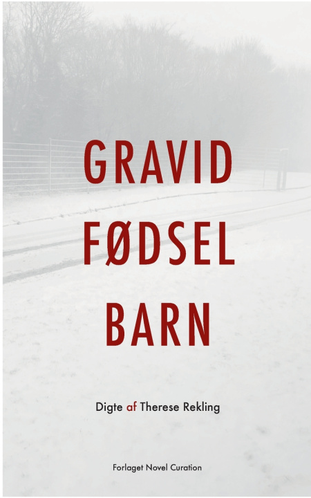 Książka Gravid Fødsel Barn 