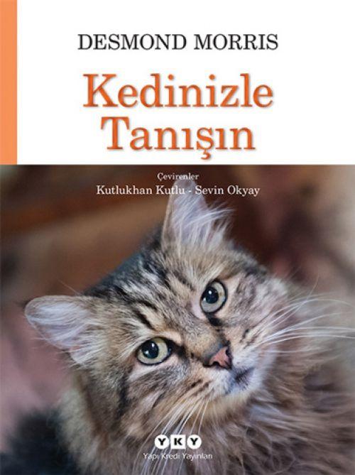Carte Kedinizle Tanisin 