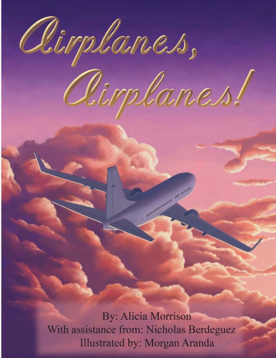 Boek Airplanes, Airplanes! Alicia Morrison