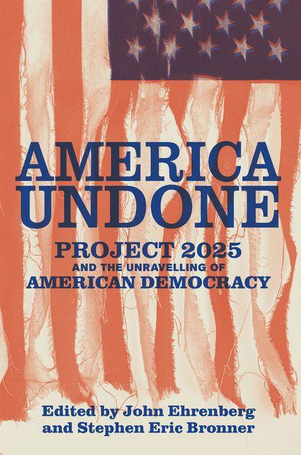 Book America Undone Stephen Bronner