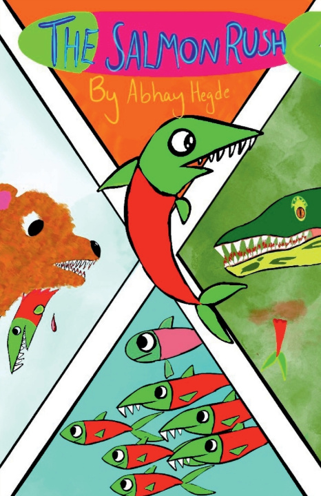 Buch The Salmon Rush Abhay Hegde