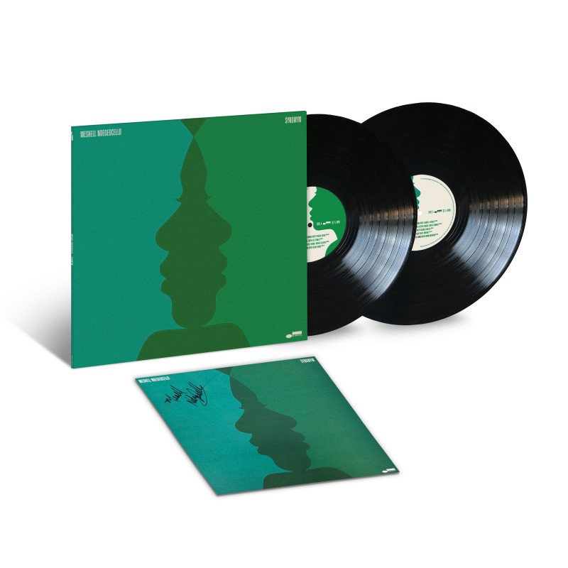 Audio Synonym Meshell Ndegeocello