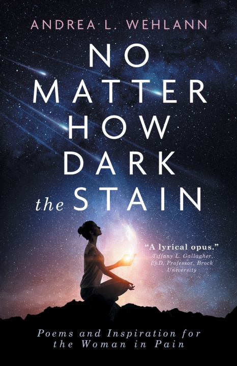 Könyv No Matter How Dark the Stain Andrea L. Wehlann