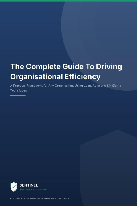 Livro The Complete Guide To Driving Organisational Efficiency John Allen