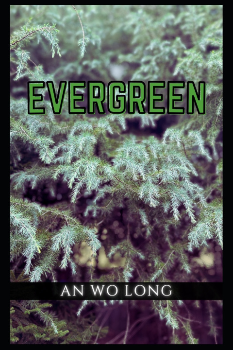 Книга EVERGREEN An Wo Long