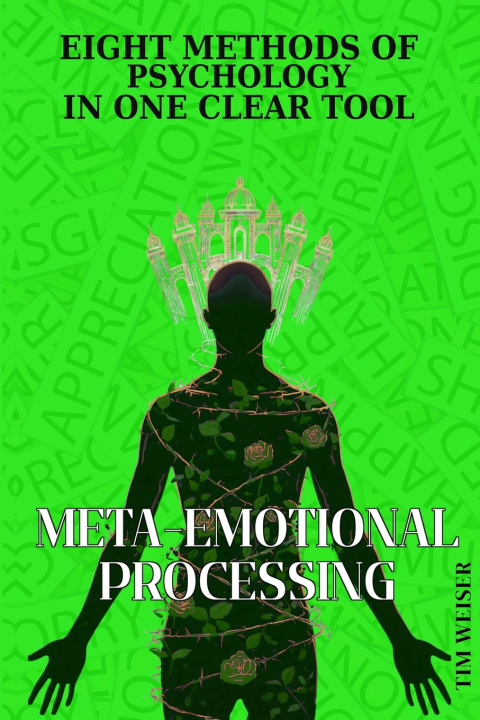 Boek Meta-Emotional Processing Tim Weiser