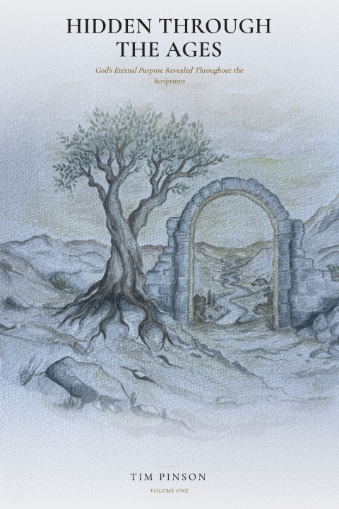 Buch Hidden Through the Ages Tim Pinson