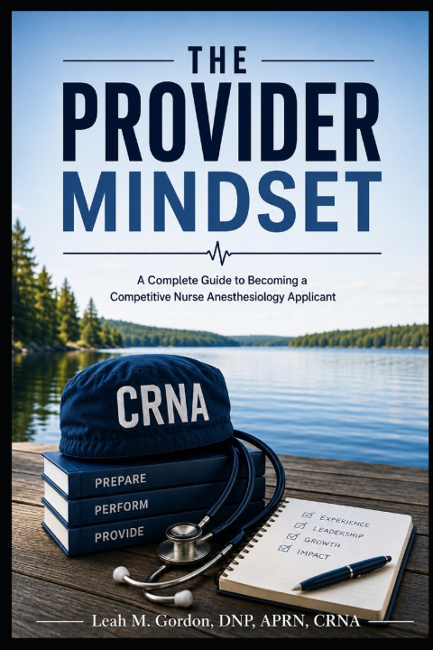 Kniha The Provider Mindset Leah Michelle Gordon