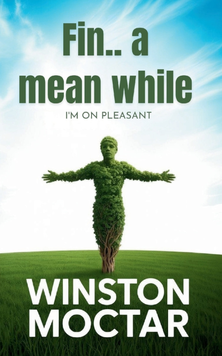 Boek Fin...a mean while Winston Moctar