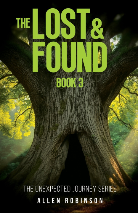 Книга The Lost And Found Allen Robinson