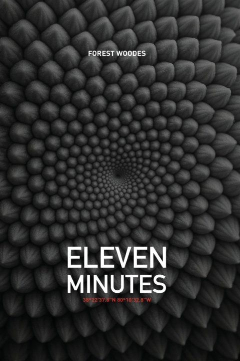 Buch Eleven Minutes Forest Woodes
