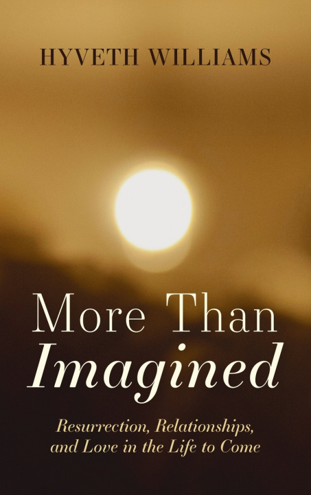 Buch More Than Imagined Hyveth Williams