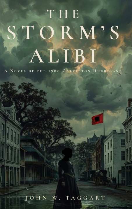 Книга The Storm's Alibi John W Taggart