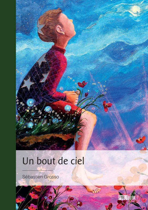 Buch Un bout de ciel Sébastien Grosso