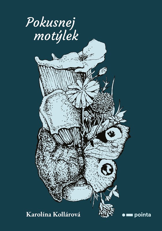 Buch Pokusnej Motýlek Karolína Kollárová