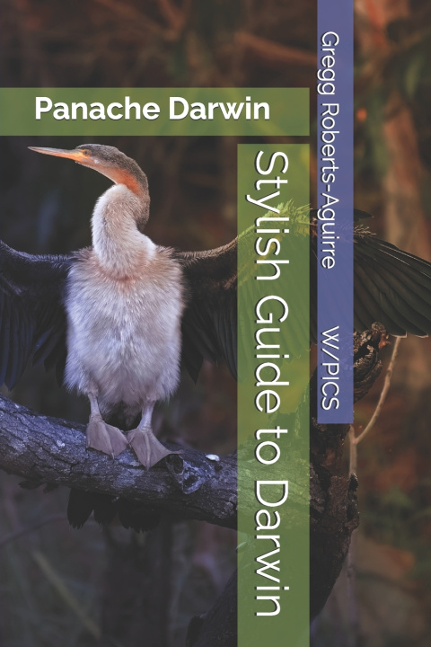 Buch Stylish Guide to Darwin Gregg Roberts-Aguirre