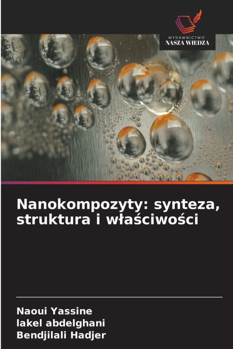 Kniha Nanokompozyty Naoui Yassine
