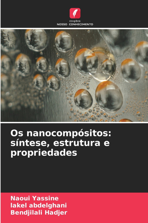 Kniha Os nanocompósitos Naoui Yassine