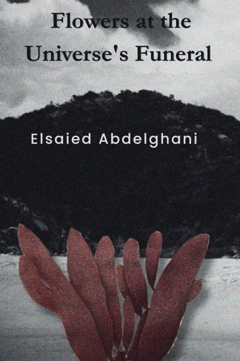 Libro Flowers at the Universe's Funeral elsaied abdelghani