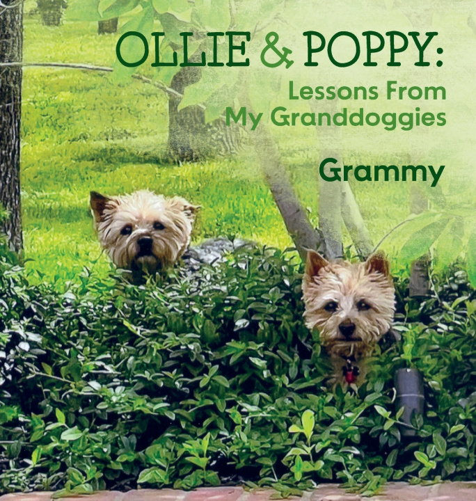 Könyv OLLIE & POPPY Grammy