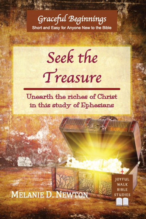 Buch Seek the Treasure Melanie D. Newton