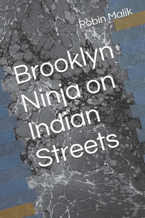Libro Brooklyn Ninja on Indian Streets Robin Malik