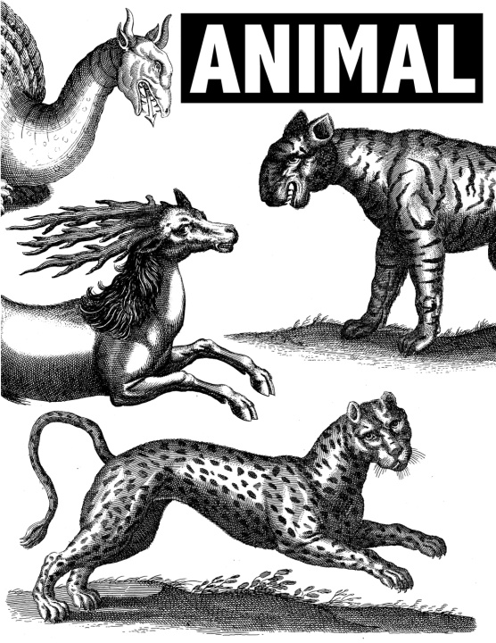 Carte Animal kent smith
