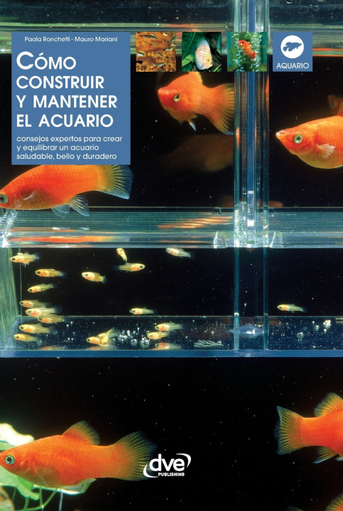Könyv Cómo construir y mantener el acuario Paola Ronchetti