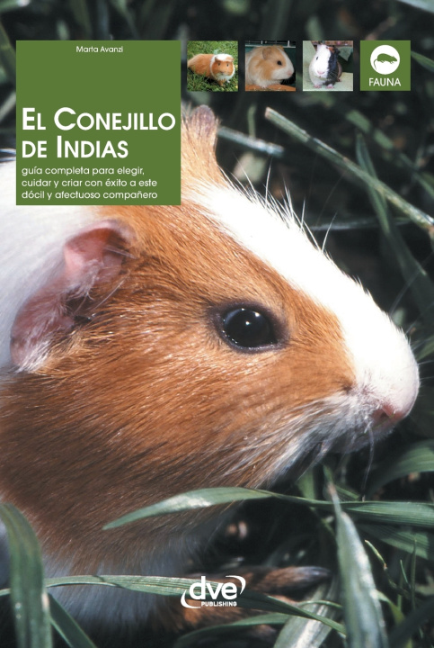 Boek El conejillo de indias Marta Avanzi
