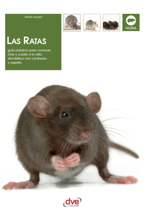 Buch Las ratas Olivier Laurent