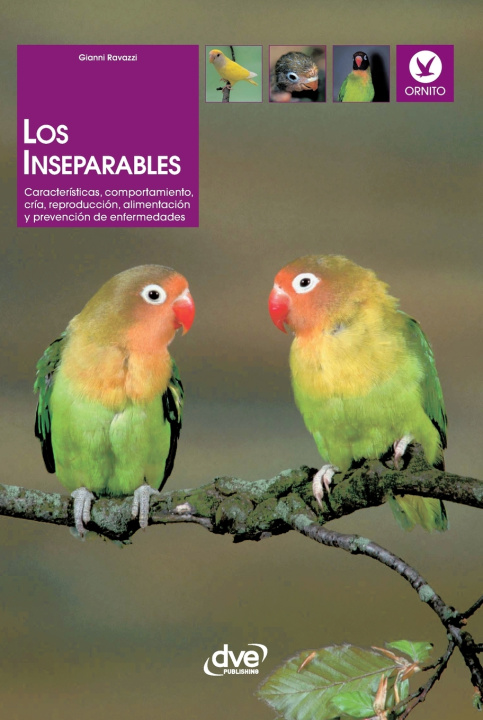 Könyv Los inseparables Gianni Ravazzi