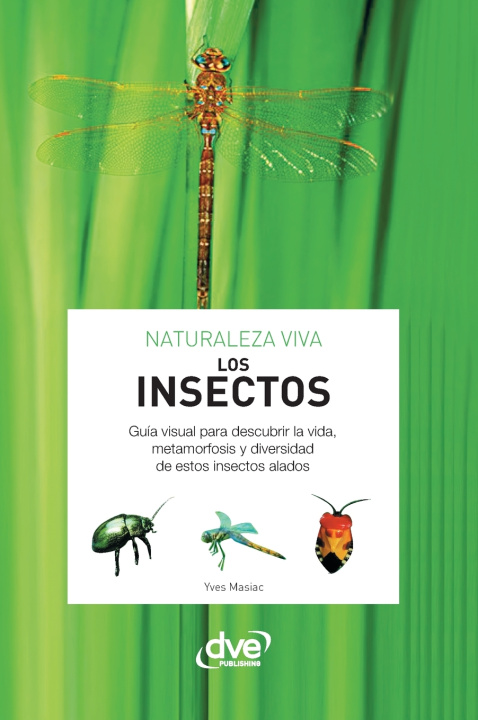 Buch Los insectos Yves Masiac