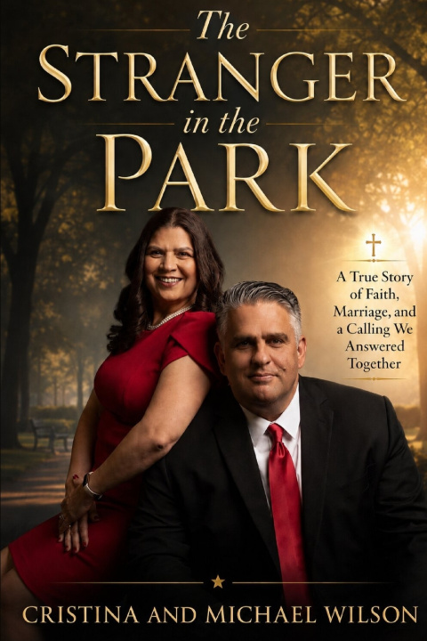 Buch The Stranger in the Park Michael JP Wilson