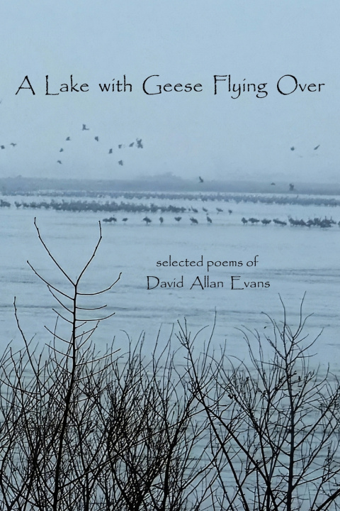 Könyv A Lake with Geese Flying Over David Allan Evans